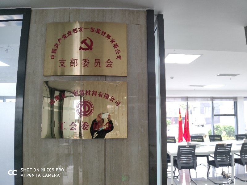 热烈祝贺pg电子游戏集团成都分公司党支部在2020年3月11日授牌成立，支部书记曹云(行政部经理)